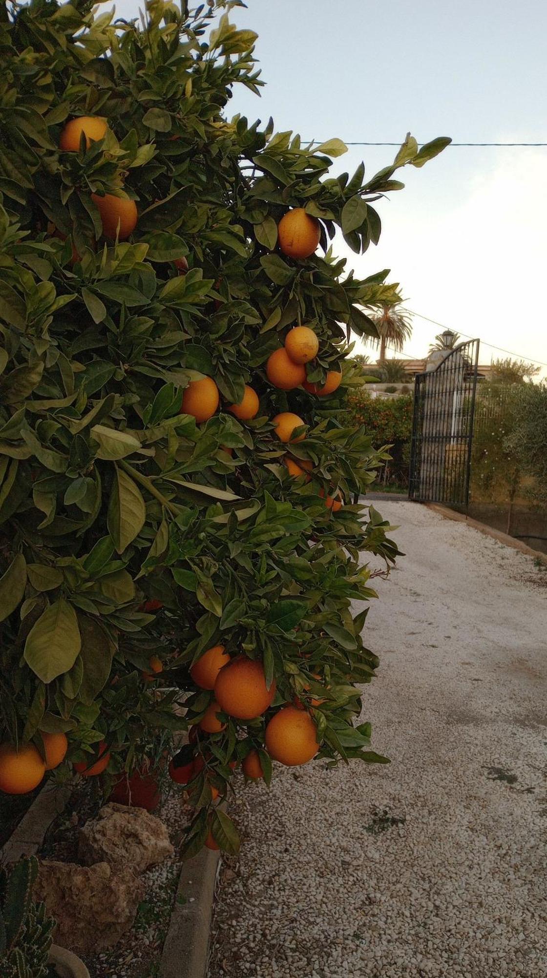 Cortijo Paulenca Βίλα Αλμερία Εξωτερικό φωτογραφία